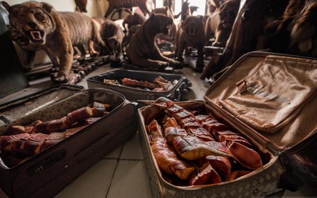 文玩界的一黑二红三白判多少年,文玩一红二黑三白别称