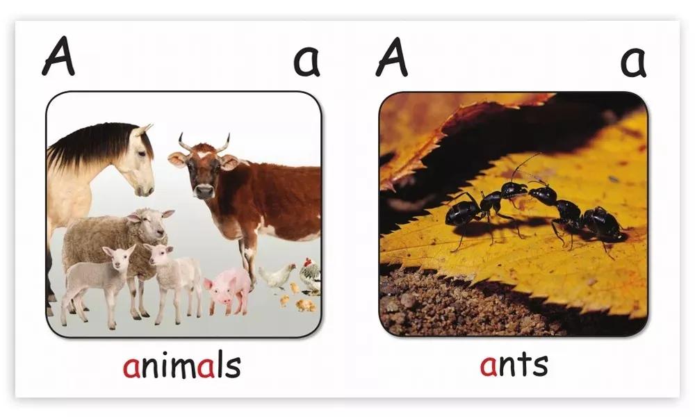 有哪些原版英语书值得启蒙,英文启蒙必备书