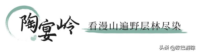 绍兴古道攻略一日游自由行,此生必去的三条国道