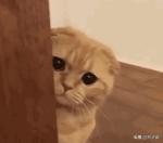 第一次用卫生棉条可以用量大的吗,卫生棉条第一次使用会不习惯吗