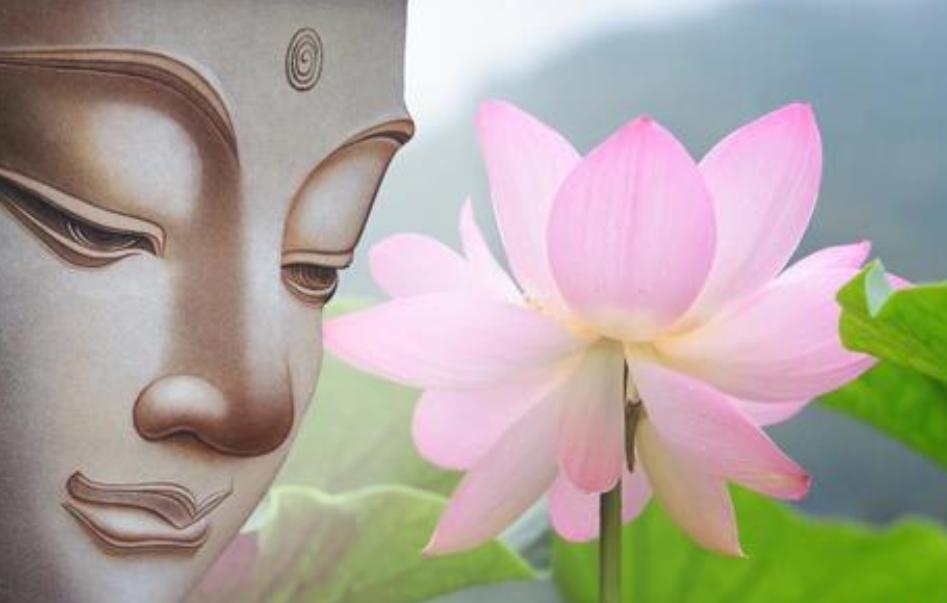 全球最美十种花,世界公认的九大最美花