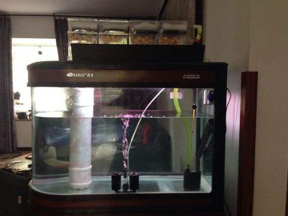 鱼生病后鱼缸里的滤材用消毒吗,鱼缸消毒滤材也要消毒吗