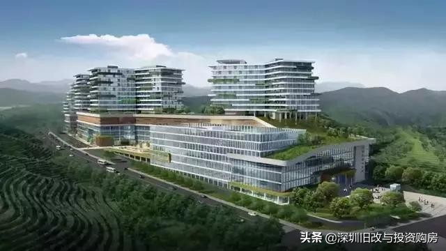 龙华观澜黎光旧村更新,绿景观澜黎光旧改进度