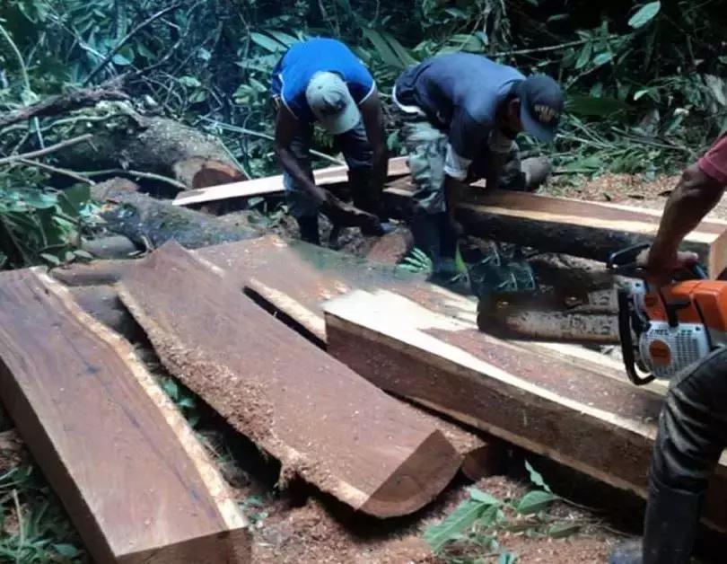 红木家具什么木材最好又不贵,红木家具木材价格排行