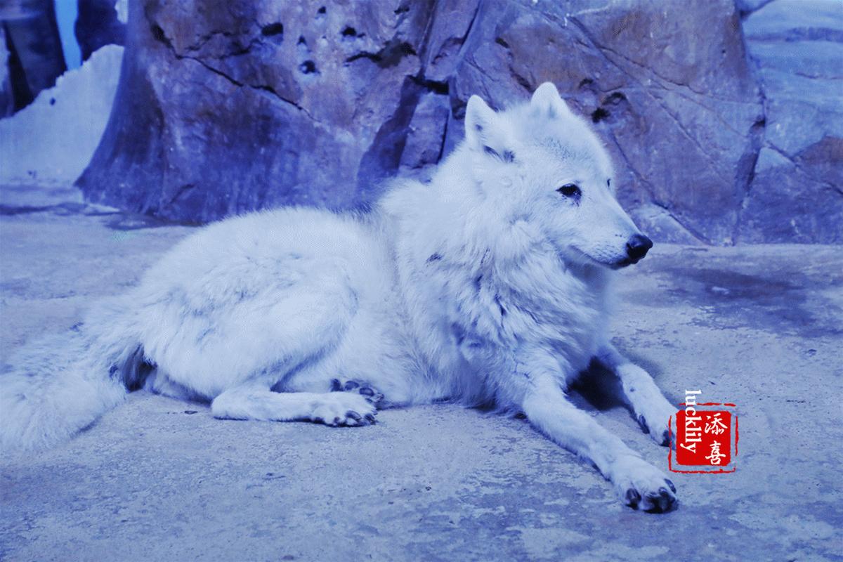 高铁出游度假,高铁出游攻略江浙沪