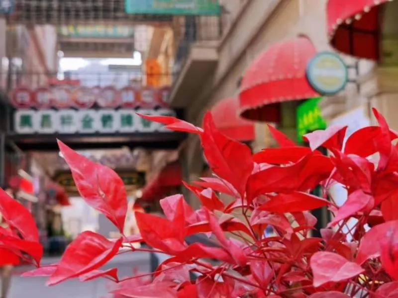 就地过年的新气象,原来就地过年也可以很欢乐