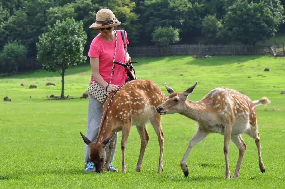 一帮闺蜜自驾游,环中俄边境自驾之旅