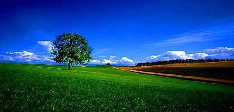 20英语单词怎么写,每日20个英语单词高中