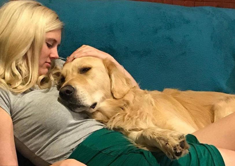 狗狗开心是不是活得更久,狗狗开心时有哪些反应