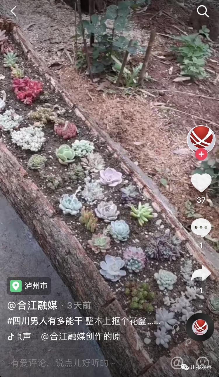 四川男人比较持家,四川男人有什么值得称道