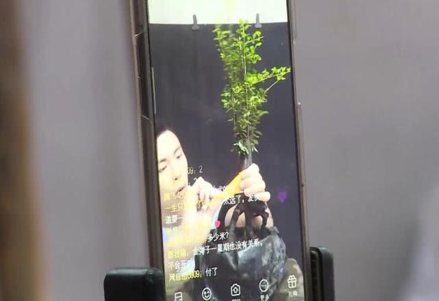 小伙创业直播卖货变成亿万富翁,临沂小伙花200元卖盆景