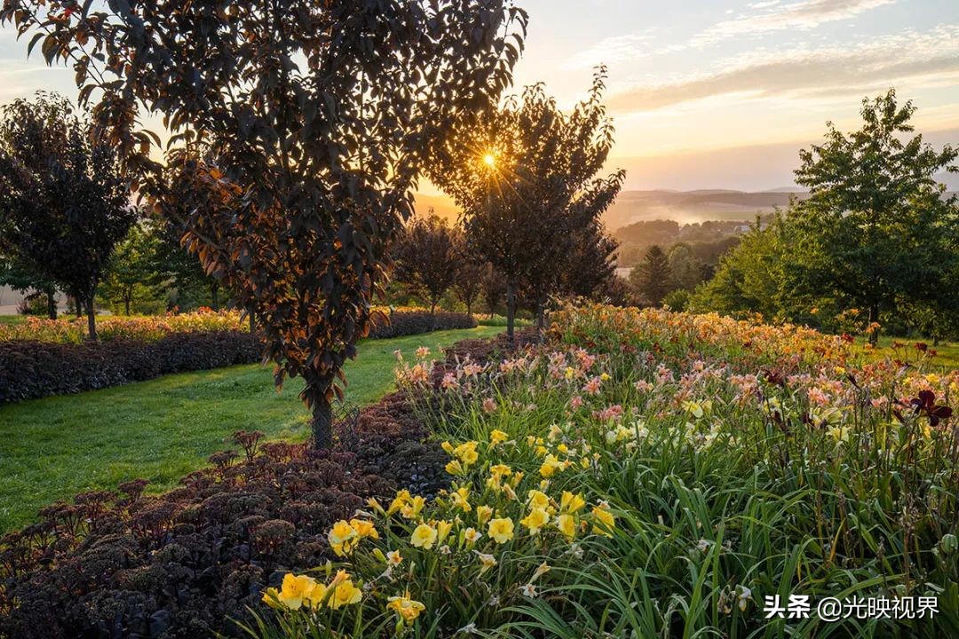 国际花园摄影大赛图片,那些美丽的花园