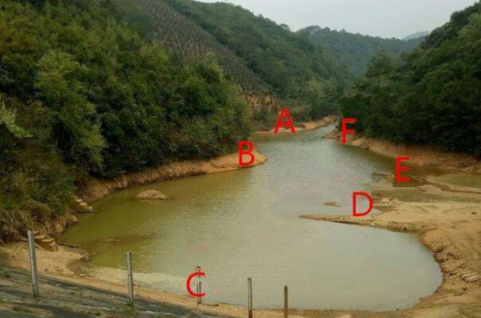 大板鲫居然被这样钓出来了,夏季野生超级大板鲫怎么开饵