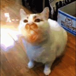 79元眼影,十大必买眼影盘