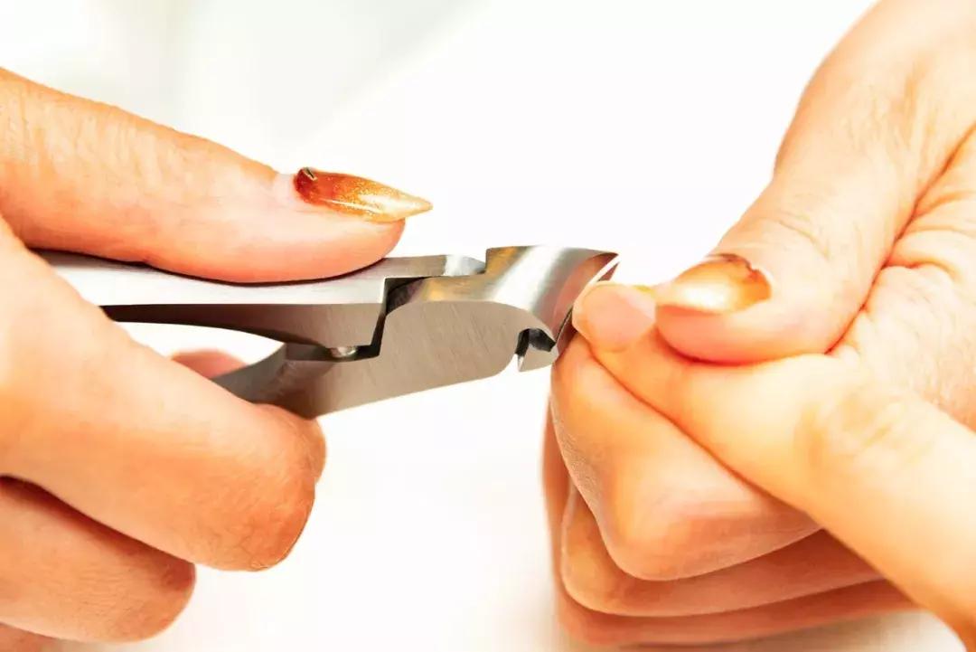 指甲刀投资多少钱,价值一亿的指甲刀