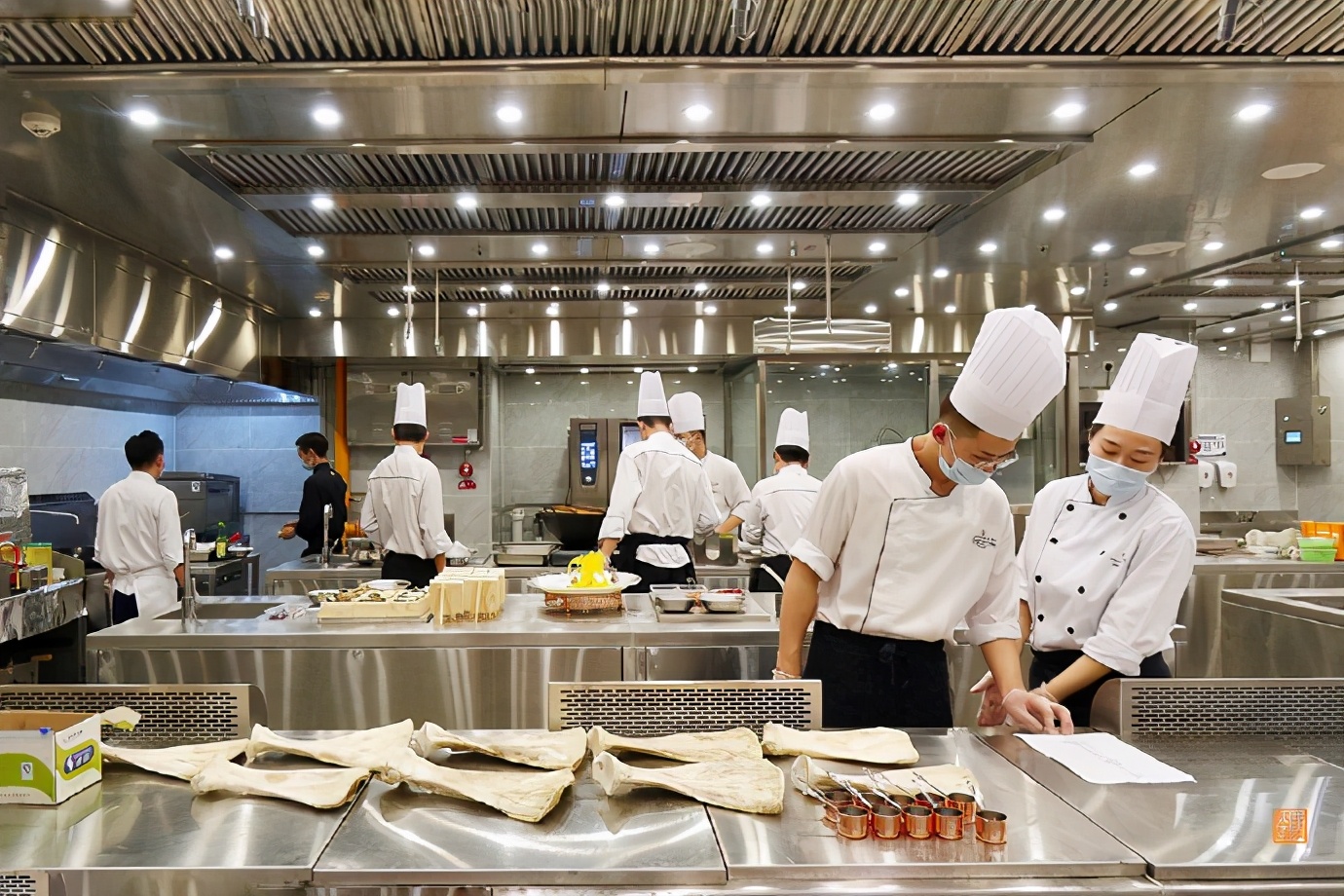 不能飞去巴黎伦敦，不如到大连喂鸽子，赏海景吃海鲜