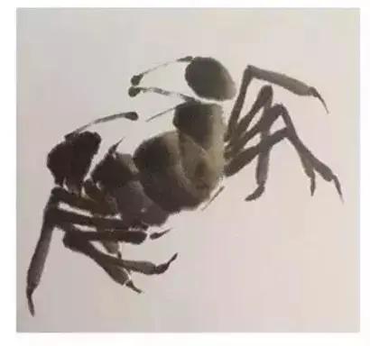 一学就会画教你一步一步画螃蟹,画螃蟹的步骤和方法