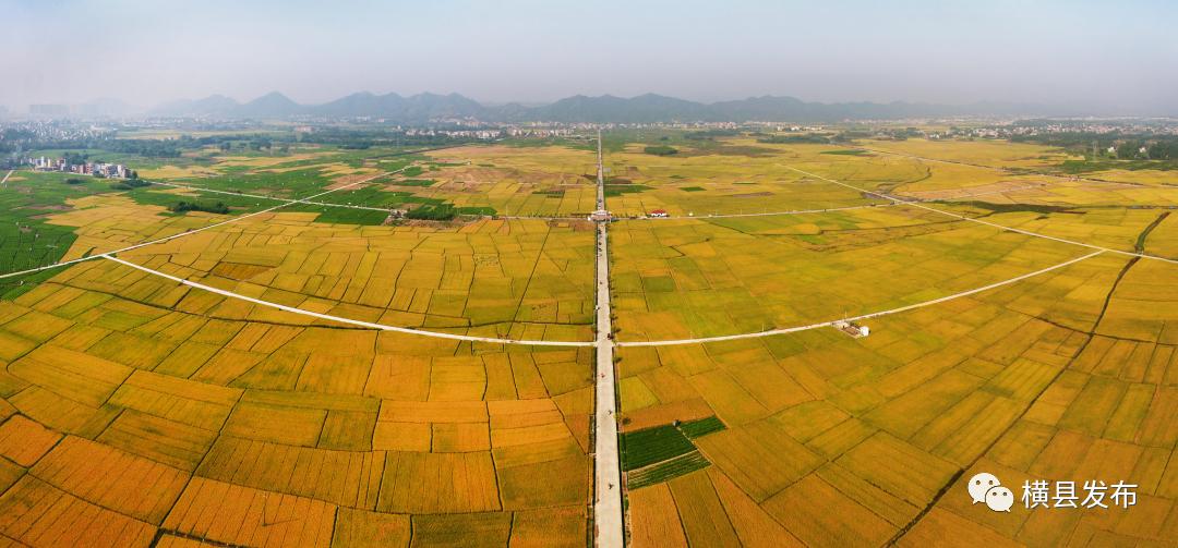 从象州到横县多少公里,由县城到市区的行程数据查得到吗