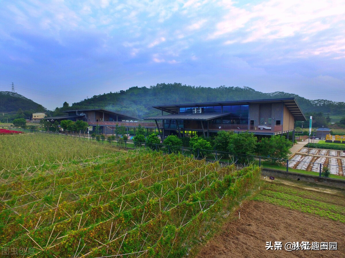 生态农业的优势及前景,生态农业发展存在的问题