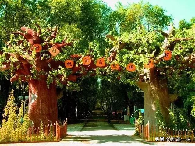 疆内哪里好玩风景好夏天,入疆必看景点大全