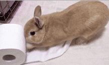 用擦屁屁的“卷纸”擦嘴巴,你真的不担心病从口入吗?