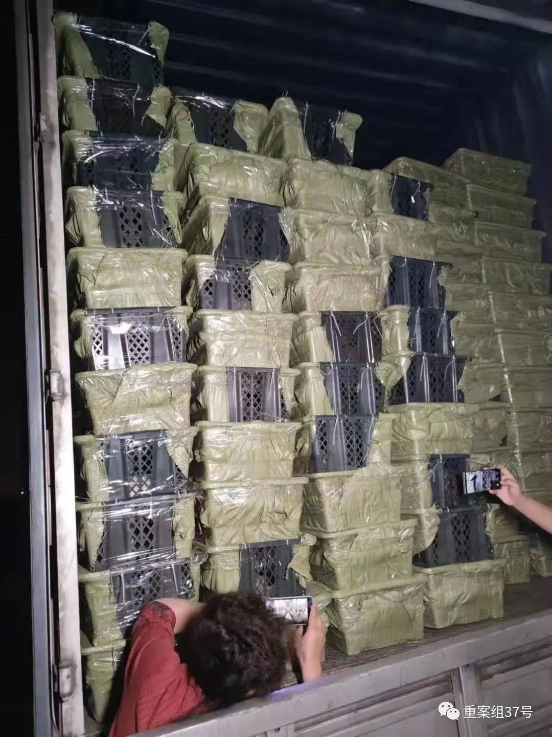 宠物邮寄托运流程,可以托运宠物的快递有哪些