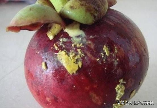 山竹里面的黄色东西是什么能吃吗,山竹里边有黄色的东西能不能吃