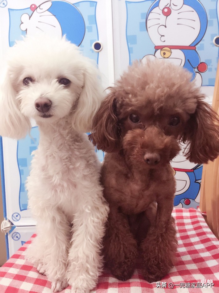 美式玄关背景墙,美式复古风格入户玄关迎门墙