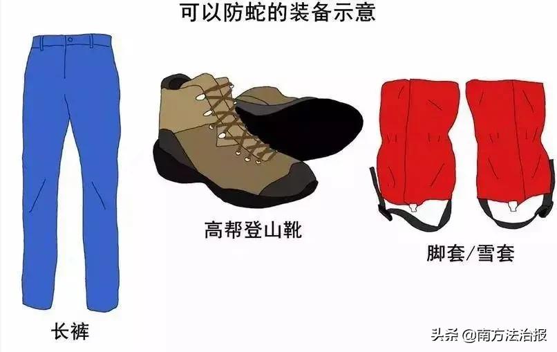 幼儿园里有可怕的怪物,幼儿园发现神秘怪物