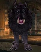 我叫mt第一季重制版免费观看,重温动漫我叫mt第二季人物介绍篇