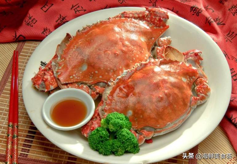 最好吃的海鲜城市排名,沿海城市海鲜又便宜又好吃