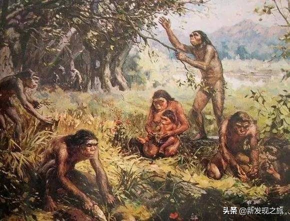 生物进化史最具代表的事件,生物进化史的意义