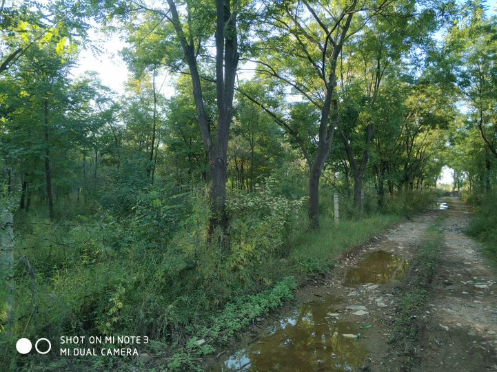 大连长兴岛长城,大连长城4s店