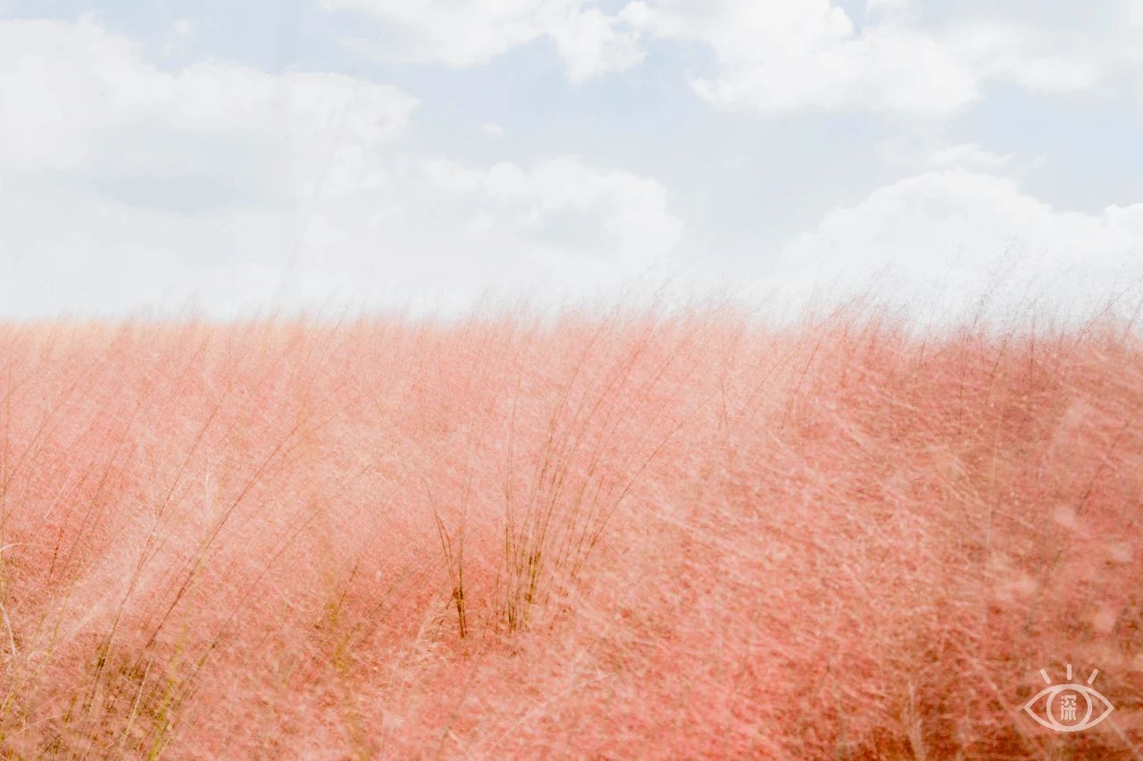放假在深圳能去哪里玩,放假了可以去深圳的哪些地方玩