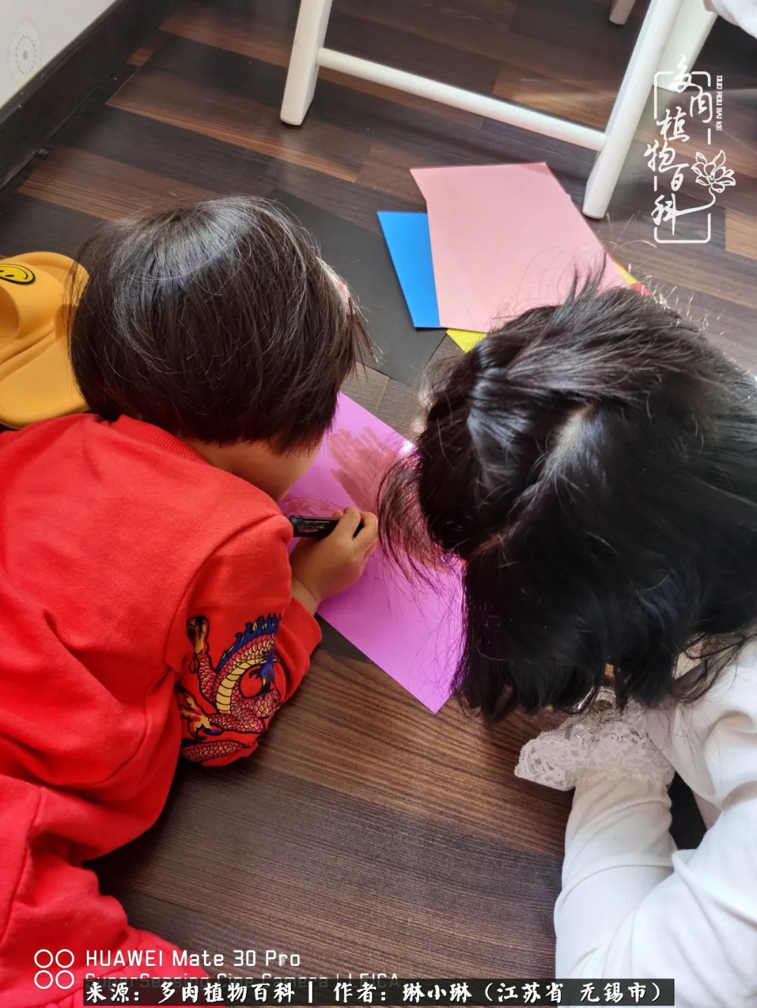 又到多肉变美时，一切都鼓励我积极向前