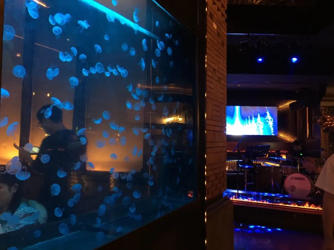 成都网红小酒馆,成都十大网红小酒吧