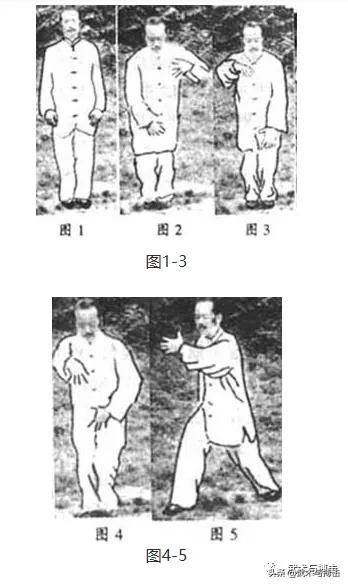 纯阳拳龙心掌视频,纯阳八步龙心掌