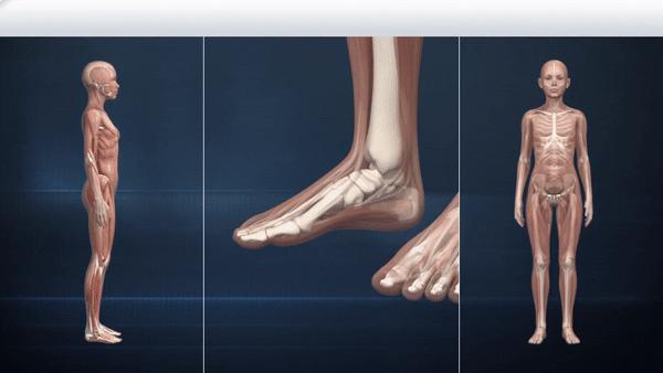 合脚不合脚只有自己知道,一般买多大码的鞋合适