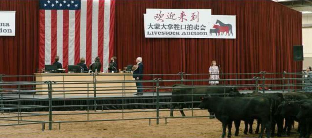 9.2分神剧横跨两个世纪,全网爆红的9分国产神剧