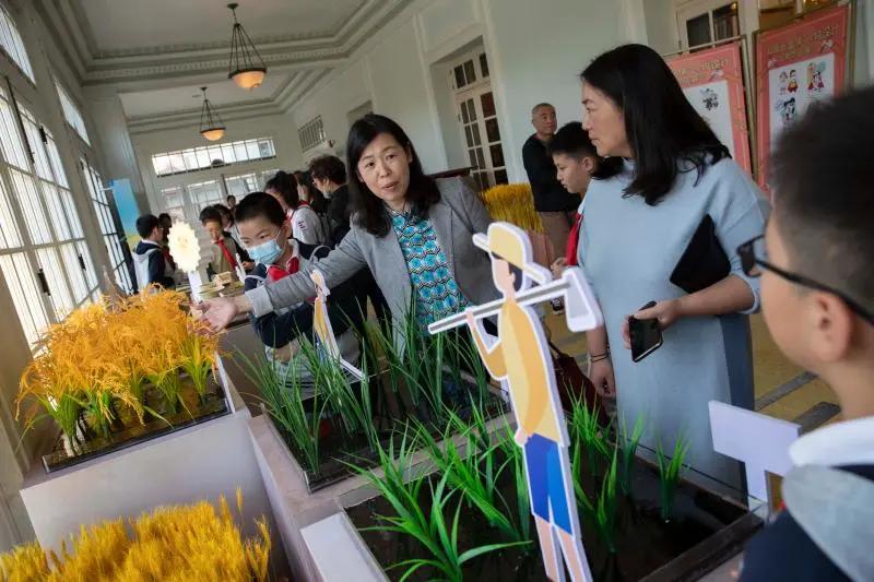小学生学习创意金点子,小学生的金点子有哪些