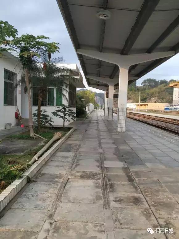 快！坐上火车！小铁带你游览龙岩永定客家土楼景区永定新闻网今天