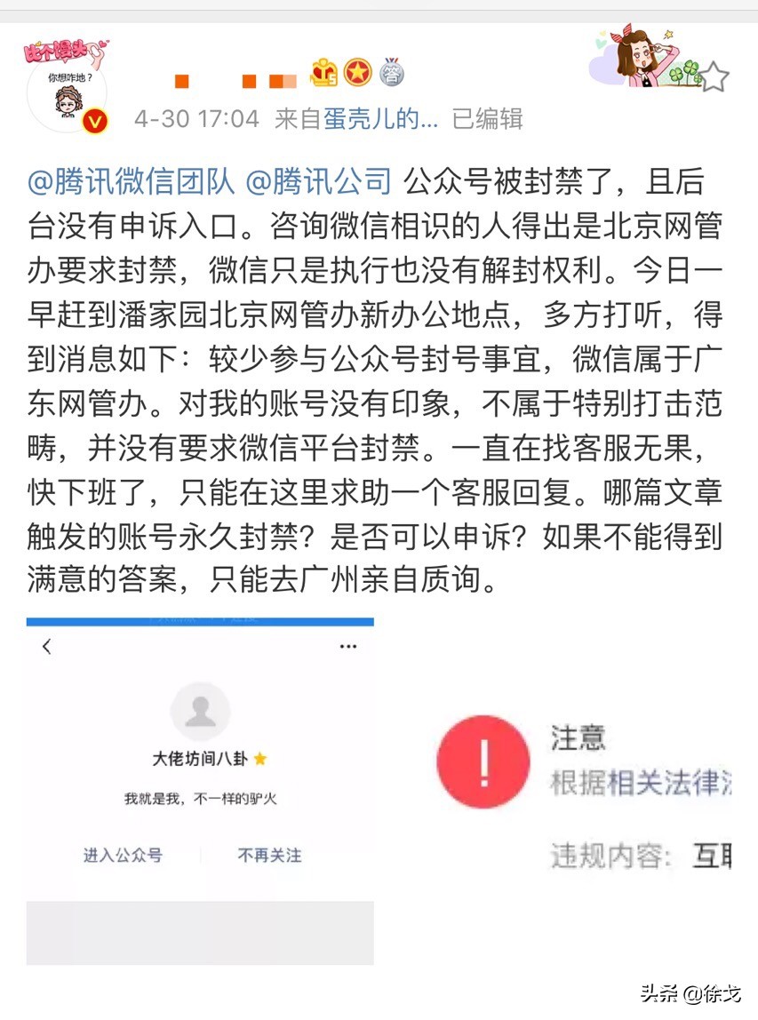 礼品代发、SEO、海参燕窝，接下来老徐带大家实操搞项目