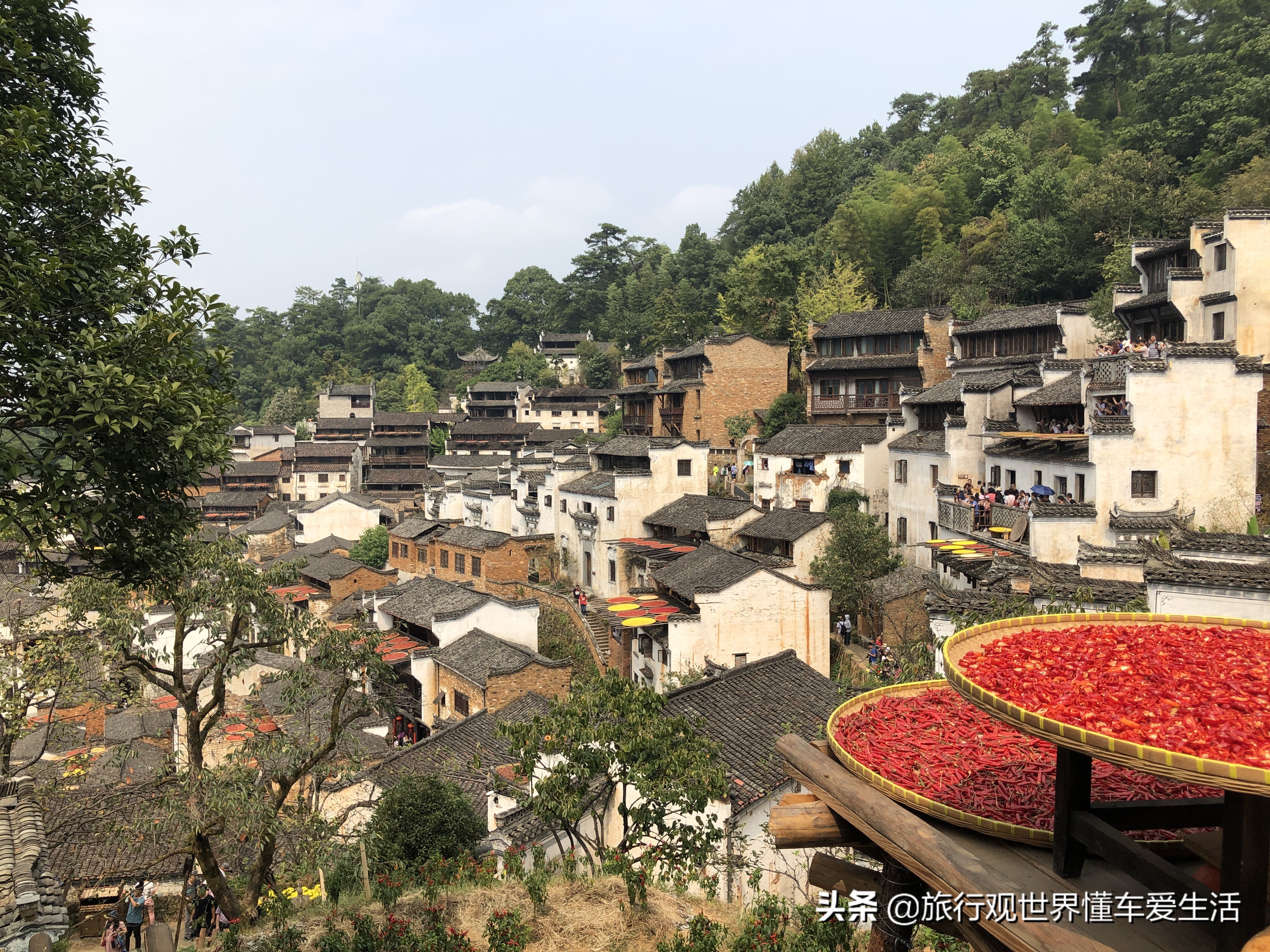 婺源上海两天一夜攻略,坐高铁去婺源旅游攻略