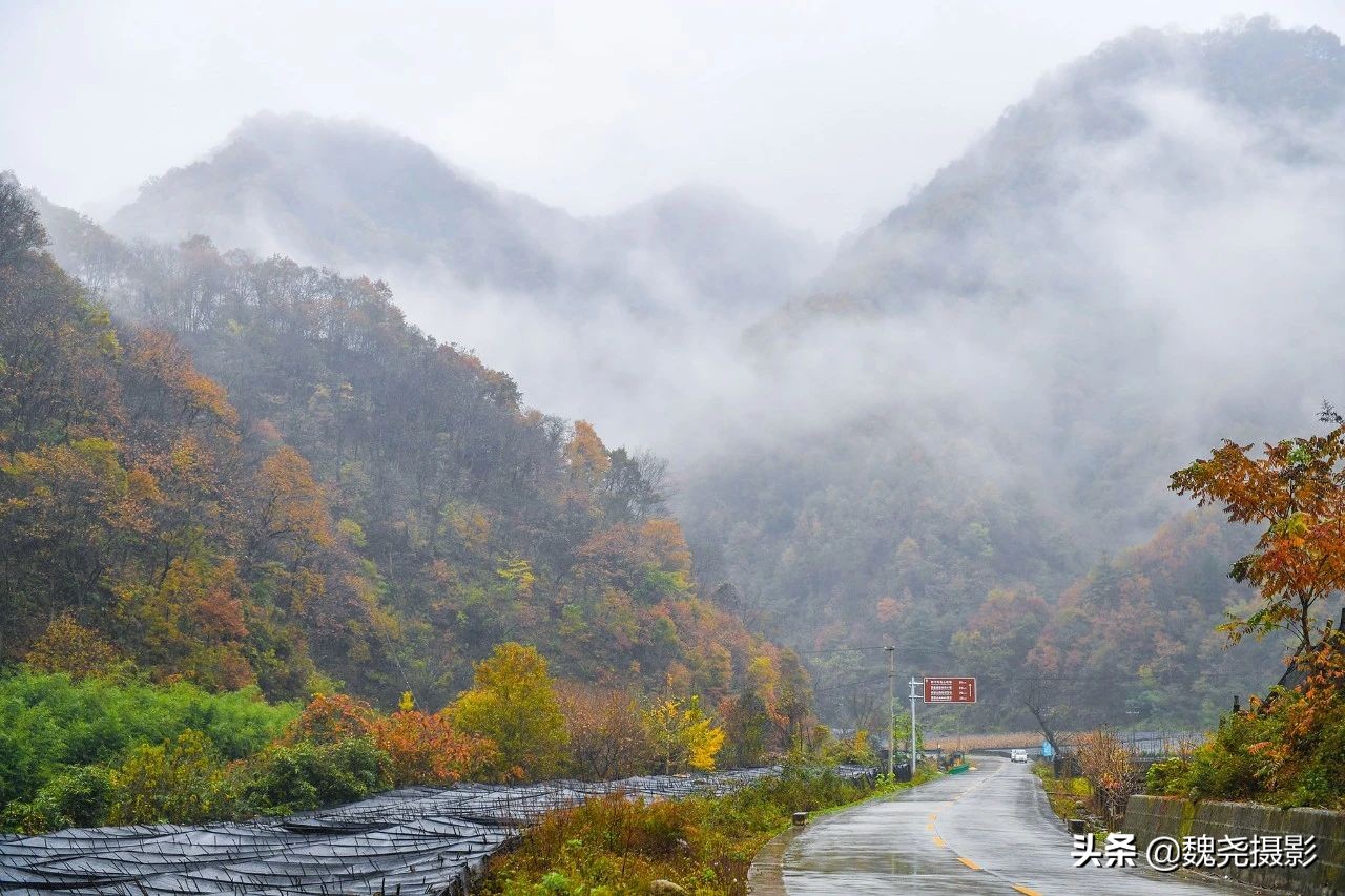 留坝秦岭之夜,留坝秦岭森林公园