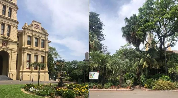 【文理兼修的女神学院】百年基督教长老会女子学院PLCSydney！