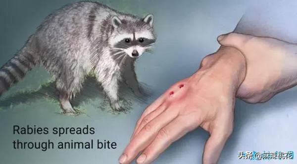 最危险的10种致命病毒,世界最难治病毒