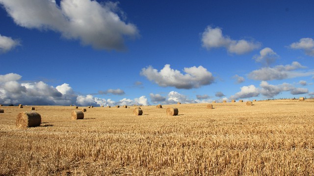 很简单干净的爱情说说,触动人心的爱情说说句句精辟