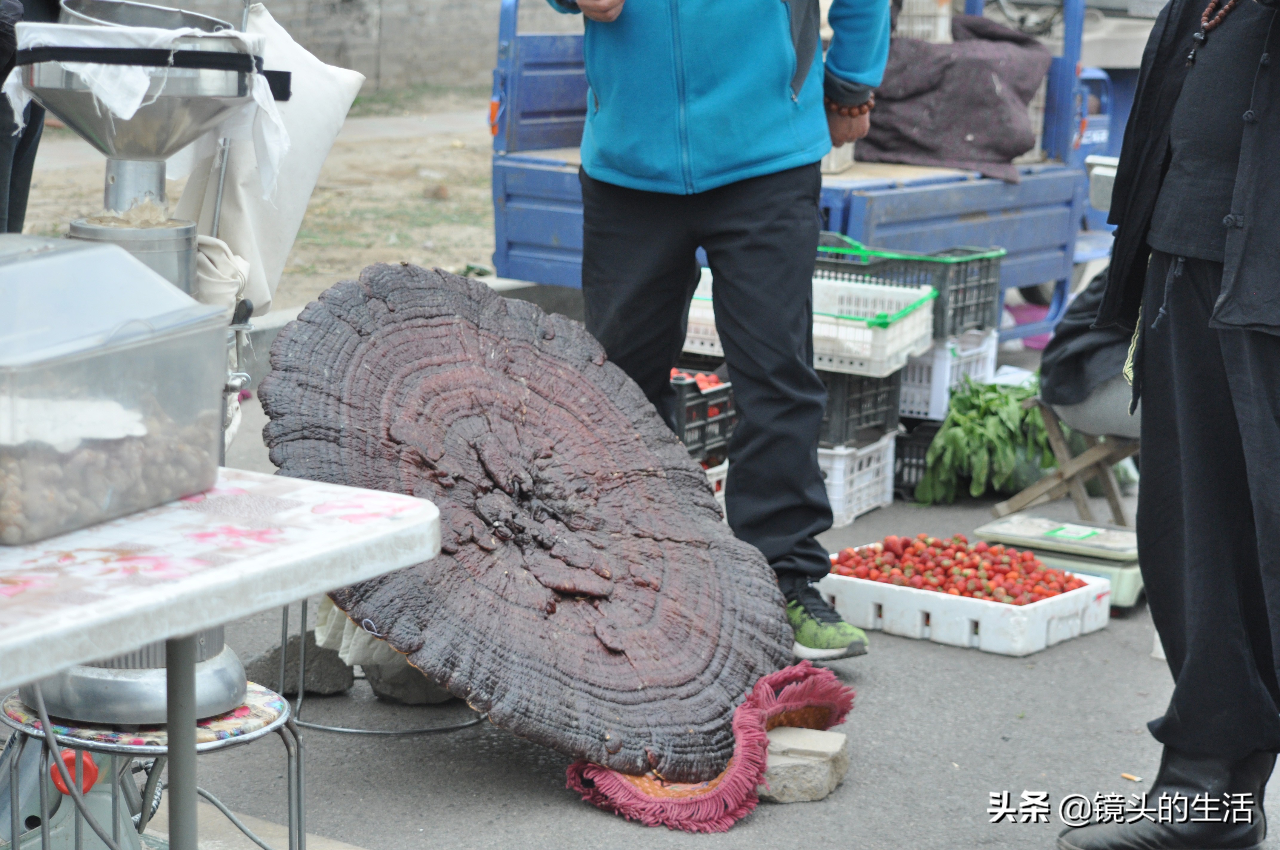 鍐滄潙灏忎紮鎵惧埌鐝嶈吹鑽潗浠锋牸涓嶈彶,澶у彅鎺忓嚭6鍧楀崠鑽潗鐨勯挶