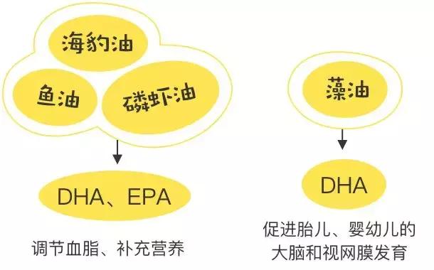 吴昕吃的保健品,吴昕保健品当零食吃