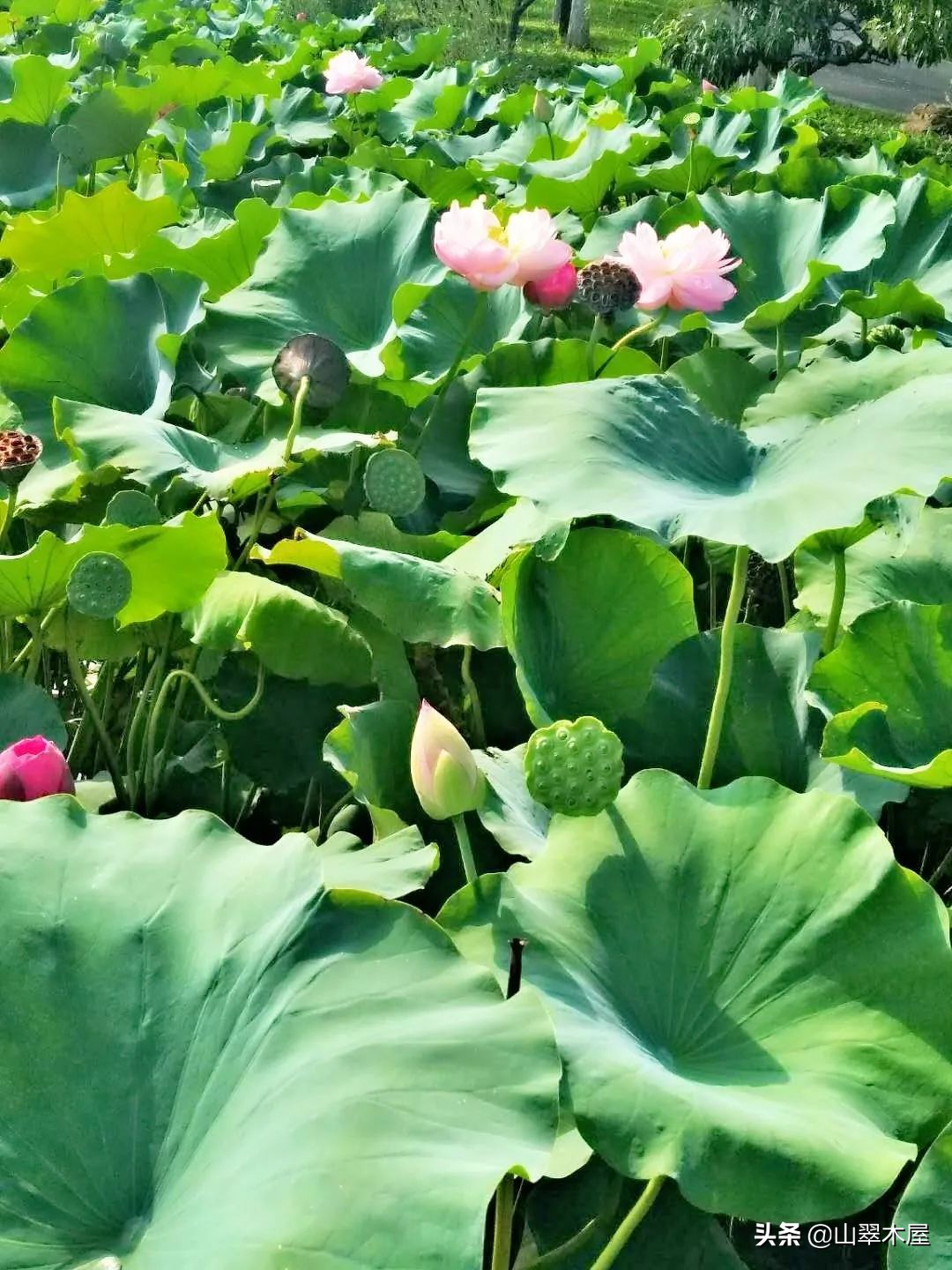 洛阳市欧亚国际学院,洛阳欧亚国际学校靠谱吗